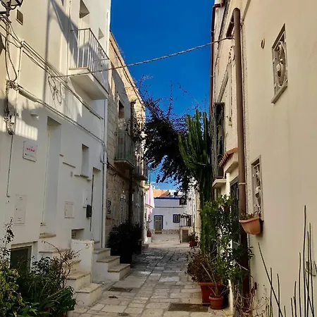 Apartament Al Civico 3 Centro *